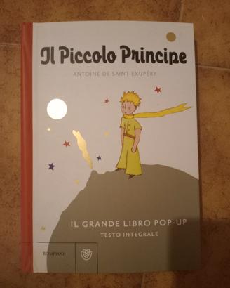il piccolo principe 