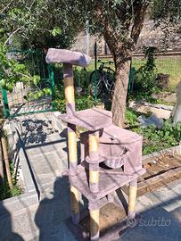 albero x gatti 