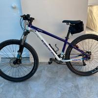 MTB Saracen