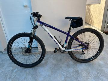 MTB Saracen