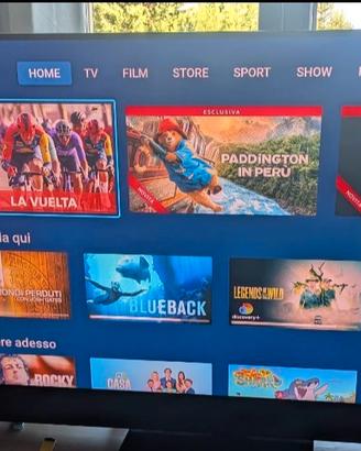 TV SKYGLASS 55" 65" 