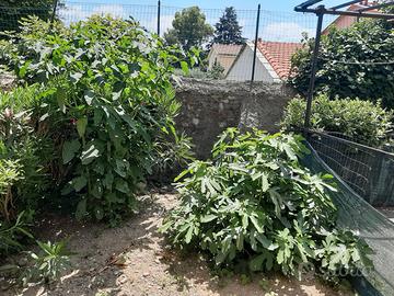 Cervo ( im) alloggio con giardino privato