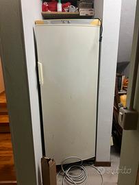 Congelatore freezer Rex electrolux
