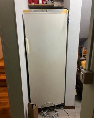 Congelatore freezer Rex electrolux