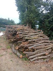 legna da ardere 