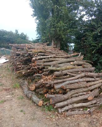 legna da ardere 