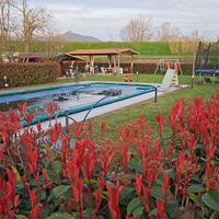 Affitto ampio giardino con piscina