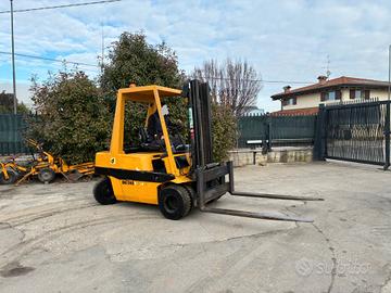 S155 Mulletto Detas 30 q