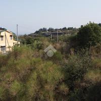 TER. AGRICOLO A MASCALI