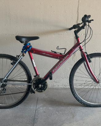 Mountain bike