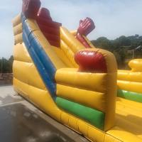 Gonfiabile professionale