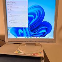 Monitor VGA Philips 19 pollici