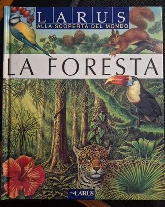 Libro "La foresta" Collana Alla scoperta del mondo