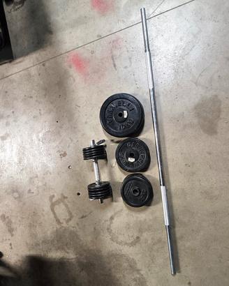 pesi palestra Ghisa manubrio dischi fitness 