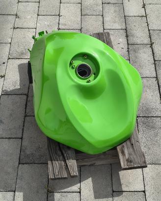 Kawasaki ninja