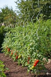 pali in ferro per pomodori