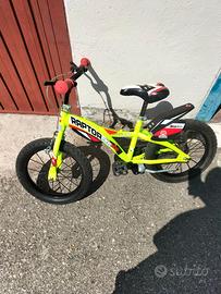 Bici da 16