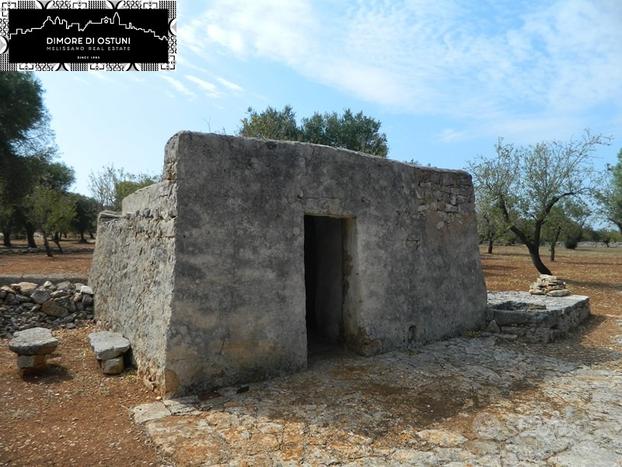 LAMIA SPRITZ con TERRENO 1Ha - OSTUNI