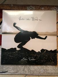 Eddie Vedder - Into the wild