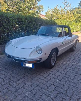 Alfa spider 2000 coda tronca