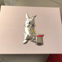 Album neonata argento