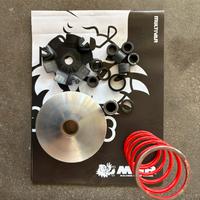 Variatore malossi mhr