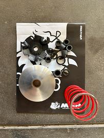 Variatore malossi mhr