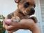 Immagine 1