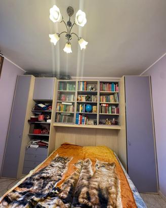 armadi a 2 ante con libreria