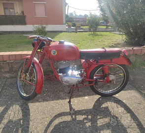 Beta Urano 125