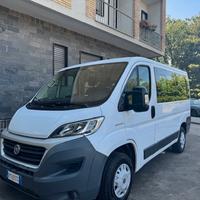 fiat ducato 9 posti 2.3 mjt cv 120 anno 2017 6b