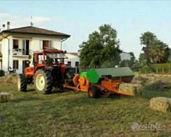 FIENO PER ANIMALI O PACCIAMATURA