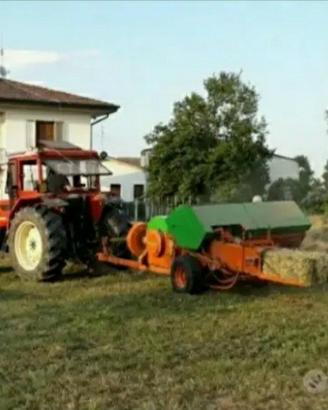 FIENO PER ANIMALI O PACCIAMATURA