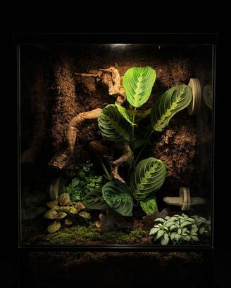 Terrari Naturalistici 30*30*45