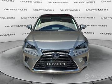 Lexus NX 300h 2.5 Luxury 4wd cvt