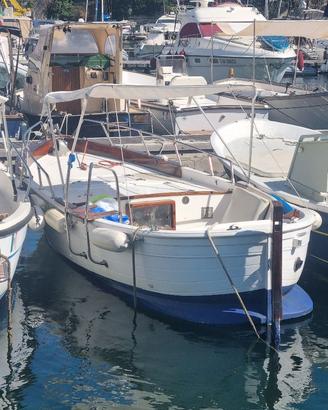 Gozzo Albatros 20