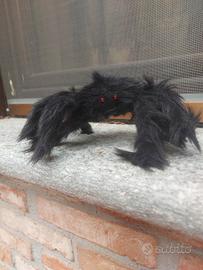 ragno peloso per halloween 