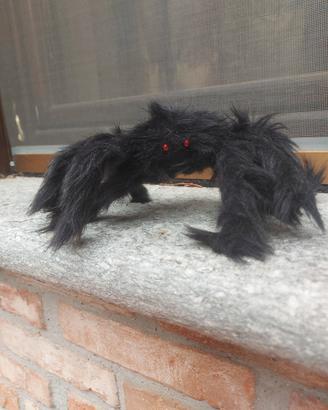 ragno peloso per halloween 