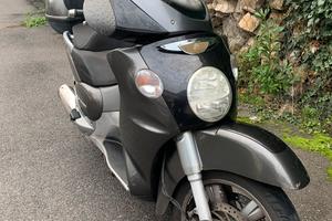 Scarabeo 500
