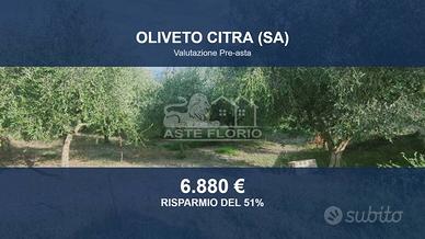 Immobile in asta di 6948 m² a Oliveto Citra