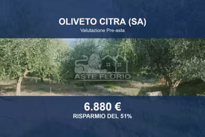 Immobile in asta di 6948 m² a Oliveto Citra
