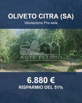 Immobile in asta di 6948 m² a Oliveto Citra
