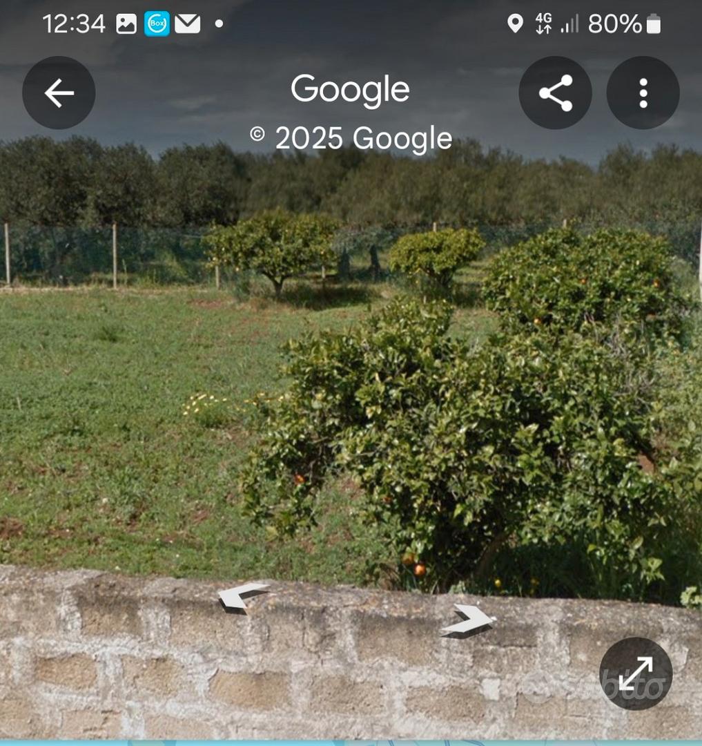 Terreno recintato - Vista 4