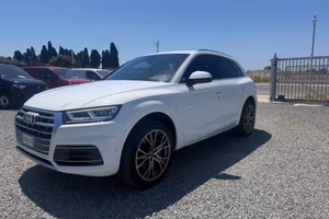 Audi Q5 2.0 TDI quattro S tronic GARANZIA