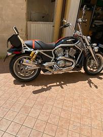 Harley Davidson vrod