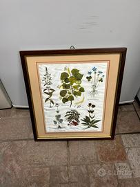 Set di 4 stampe botaniche