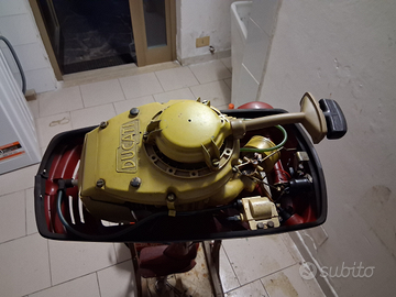 Ducati cucciolo 5hp