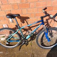Bianchi 3400 asset
