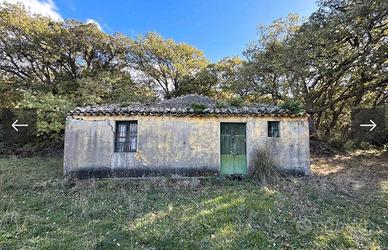 Campagna con vista e bosco incantevole Collesano