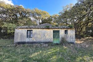 Campagna con vista e bosco incantevole Collesano